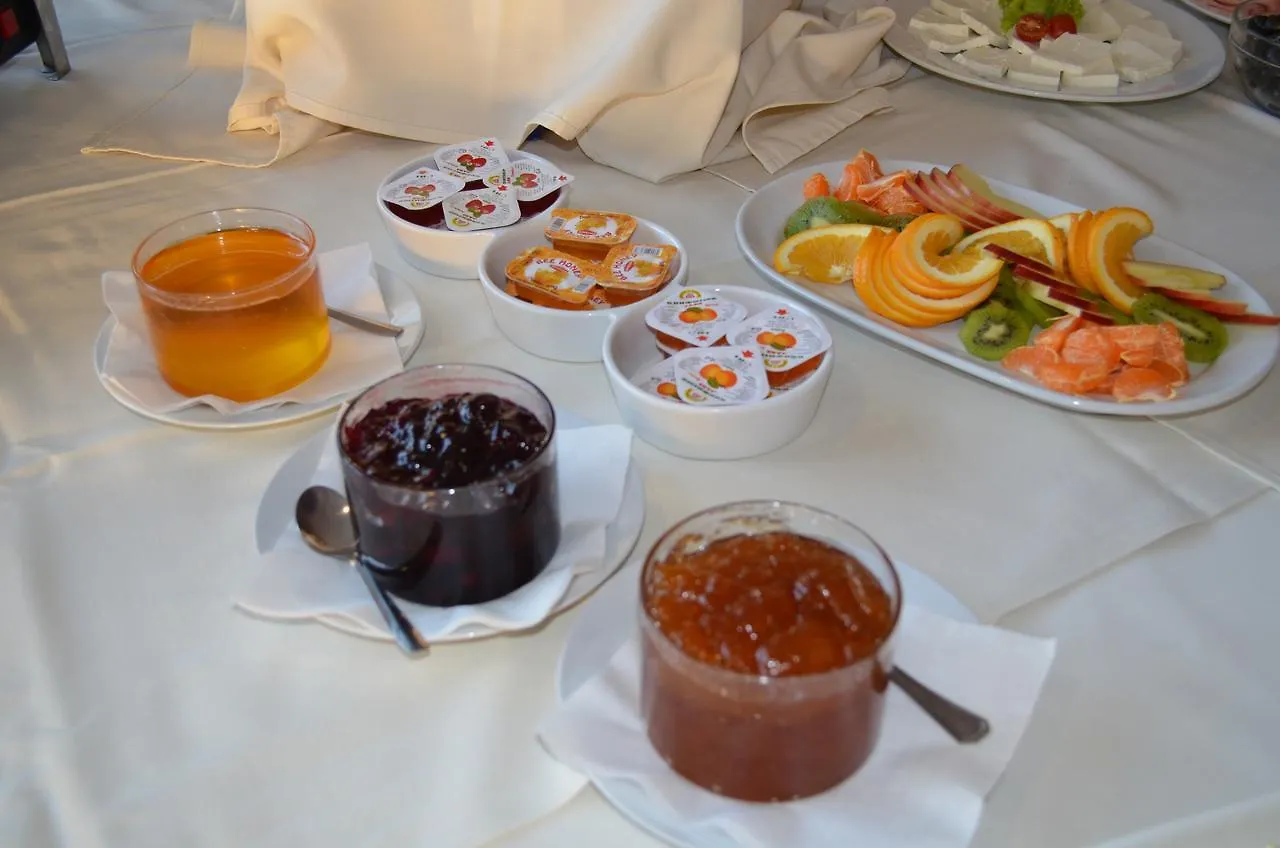 Hotel Bankya Palace